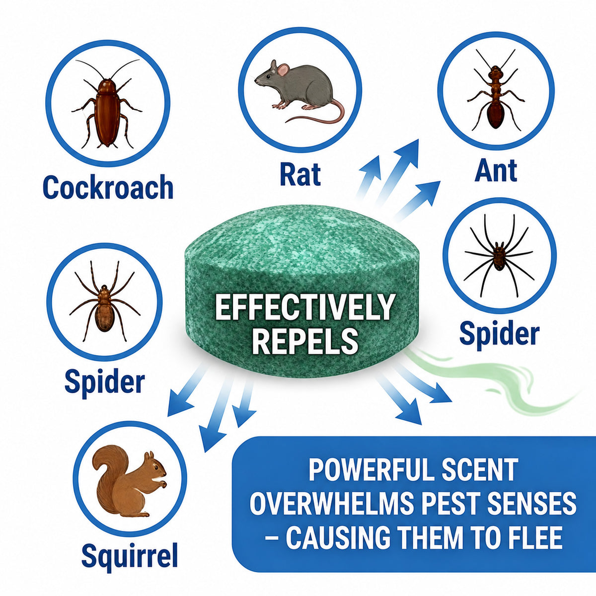 💥LAST DAY SALE 50%OFF💥🟢 Natural Peppermint Rodent Repellent Tablets – 10 Pack